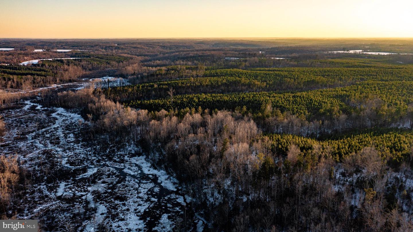TBD SPARTA RD, MILFORD, Virginia 22514, ,Farm,For Sale,TBD SPARTA RD,VACV2009536 MLS # VACV2009536 TBD SPARTA RD, MILFORD, Virginia 22514, ,Farm,For Sale,TBD SPARTA RD,VACV2009536 MLS # VACV2009536