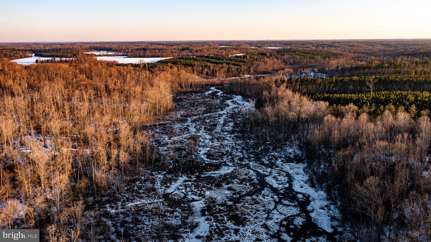 TBD SPARTA RD, MILFORD, Virginia 22514, ,Farm,For Sale,TBD SPARTA RD,VACV2009536 MLS # VACV2009536 TBD SPARTA RD, MILFORD, Virginia 22514, ,Farm,For Sale,TBD SPARTA RD,VACV2009536 MLS # VACV2009536