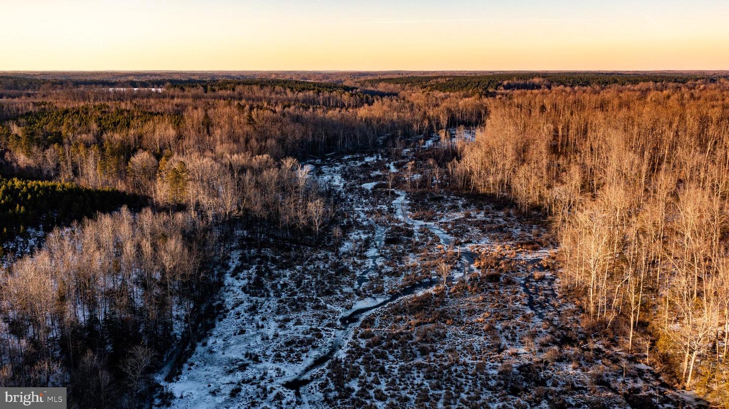TBD SPARTA RD, MILFORD, Virginia 22514, ,Farm,For Sale,TBD SPARTA RD,VACV2009536 MLS # VACV2009536 TBD SPARTA RD, MILFORD, Virginia 22514, ,Farm,For Sale,TBD SPARTA RD,VACV2009536 MLS # VACV2009536