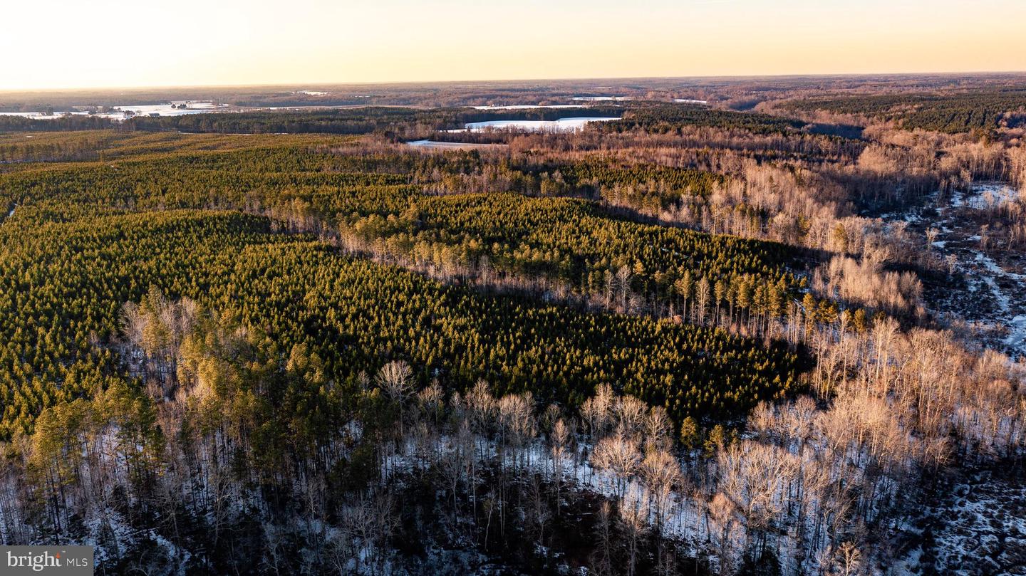 TBD SPARTA RD, MILFORD, Virginia 22514, ,Farm,For Sale,TBD SPARTA RD,VACV2009536 MLS # VACV2009536 TBD SPARTA RD, MILFORD, Virginia 22514, ,Farm,For Sale,TBD SPARTA RD,VACV2009536 MLS # VACV2009536