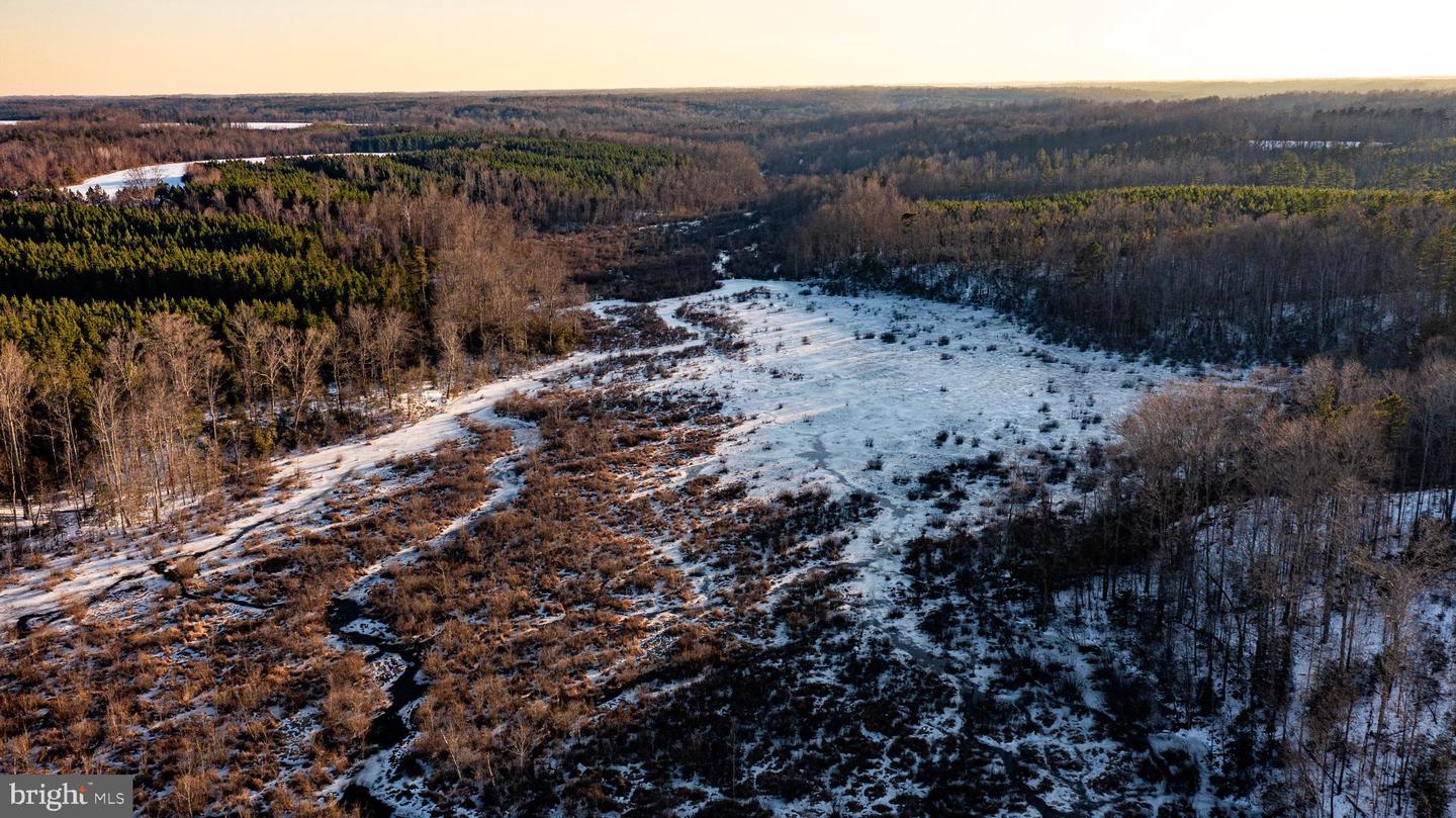 TBD SPARTA RD, MILFORD, Virginia 22514, ,Farm,For Sale,TBD SPARTA RD,VACV2009536 MLS # VACV2009536 TBD SPARTA RD, MILFORD, Virginia 22514, ,Farm,For Sale,TBD SPARTA RD,VACV2009536 MLS # VACV2009536