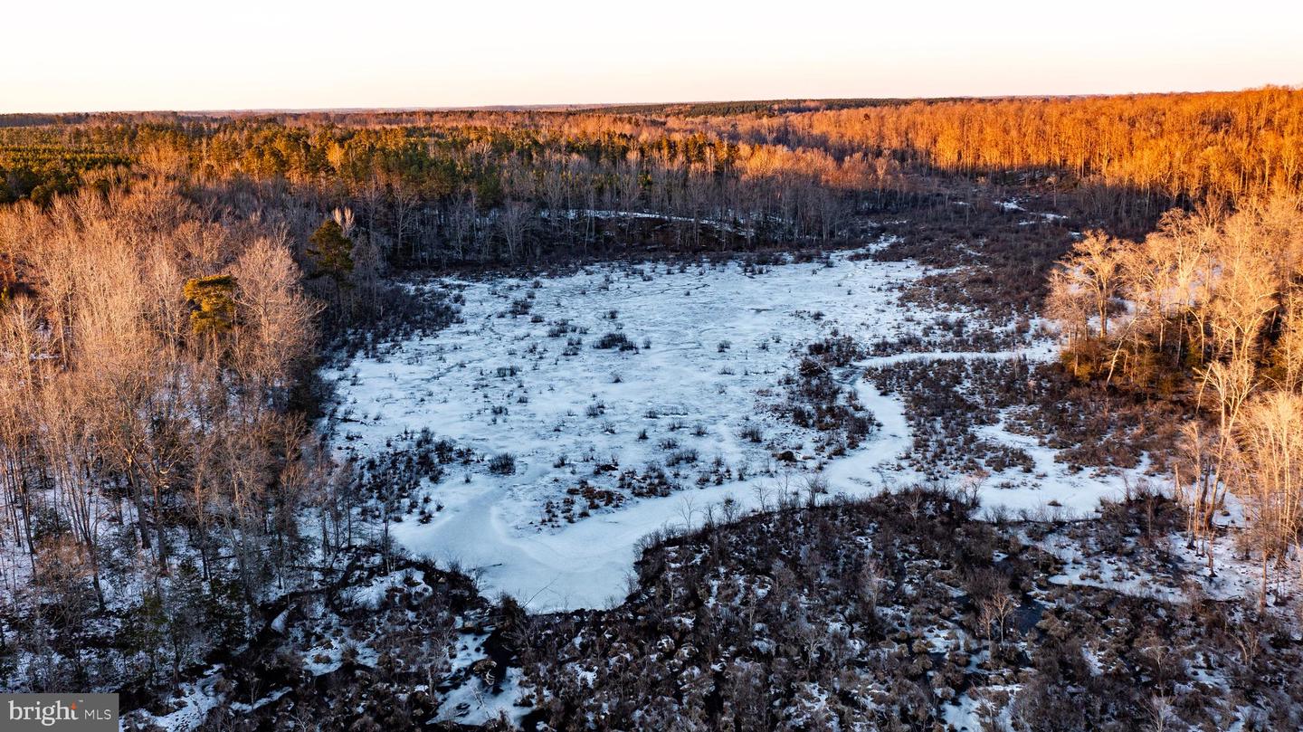 TBD SPARTA RD, MILFORD, Virginia 22514, ,Farm,For Sale,TBD SPARTA RD,VACV2009536 MLS # VACV2009536 TBD SPARTA RD, MILFORD, Virginia 22514, ,Farm,For Sale,TBD SPARTA RD,VACV2009536 MLS # VACV2009536