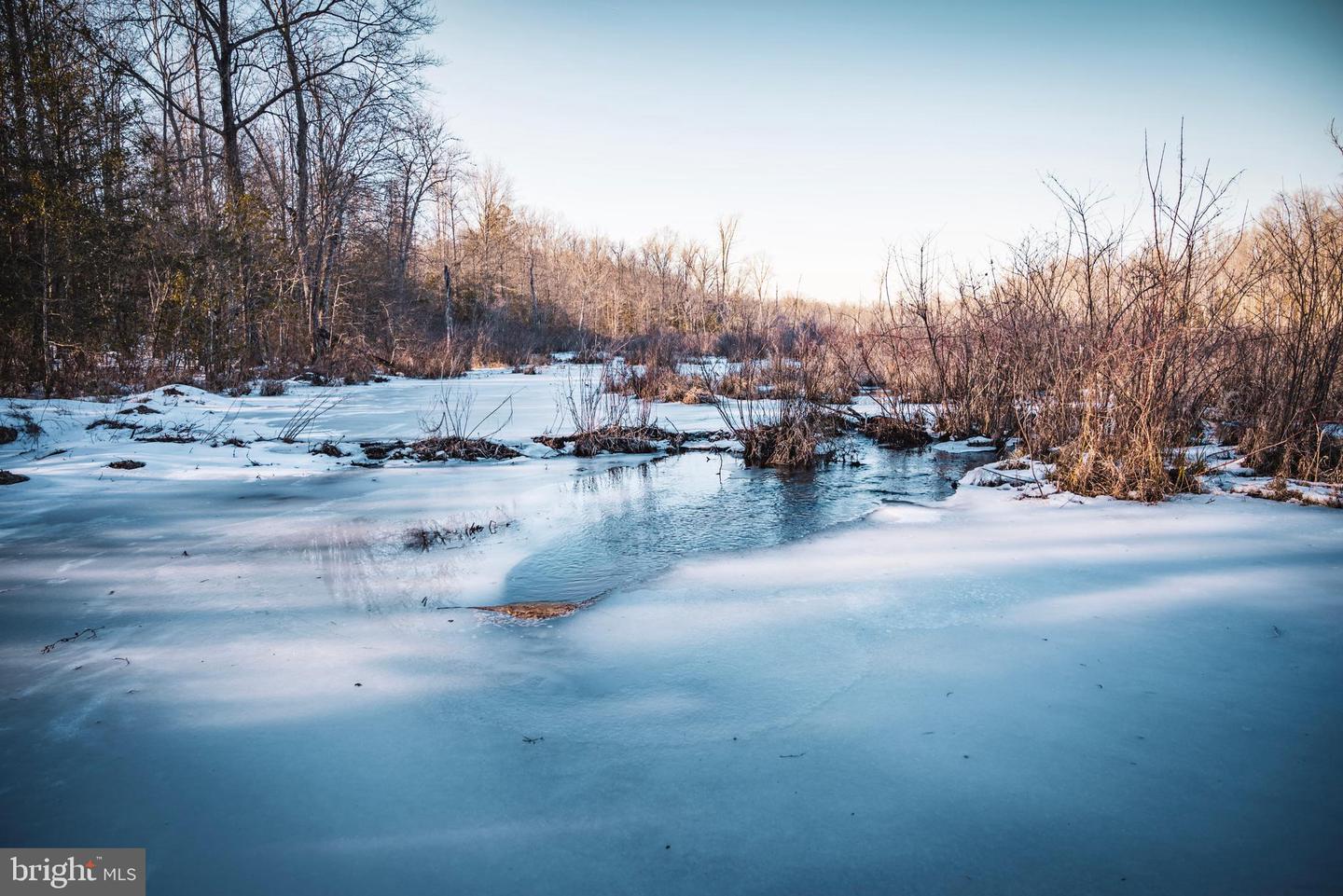 TBD SPARTA RD, MILFORD, Virginia 22514, ,Farm,For Sale,TBD SPARTA RD,VACV2009536 MLS # VACV2009536 TBD SPARTA RD, MILFORD, Virginia 22514, ,Farm,For Sale,TBD SPARTA RD,VACV2009536 MLS # VACV2009536