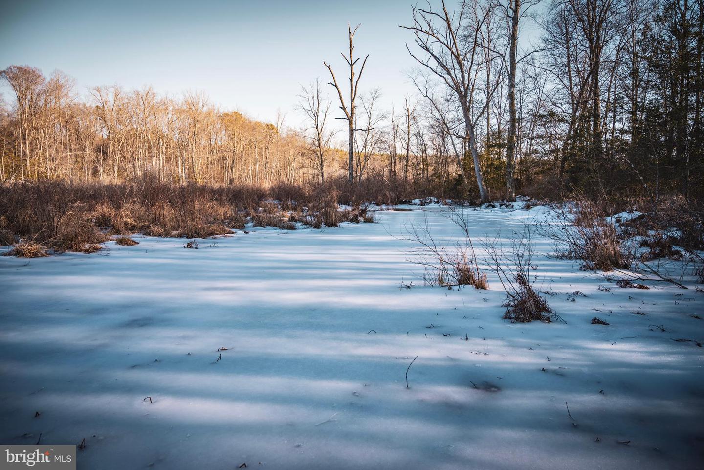 TBD SPARTA RD, MILFORD, Virginia 22514, ,Farm,For Sale,TBD SPARTA RD,VACV2009536 MLS # VACV2009536 TBD SPARTA RD, MILFORD, Virginia 22514, ,Farm,For Sale,TBD SPARTA RD,VACV2009536 MLS # VACV2009536