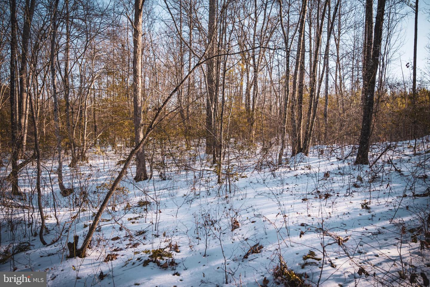 TBD SPARTA RD, MILFORD, Virginia 22514, ,Farm,For Sale,TBD SPARTA RD,VACV2009536 MLS # VACV2009536 TBD SPARTA RD, MILFORD, Virginia 22514, ,Farm,For Sale,TBD SPARTA RD,VACV2009536 MLS # VACV2009536