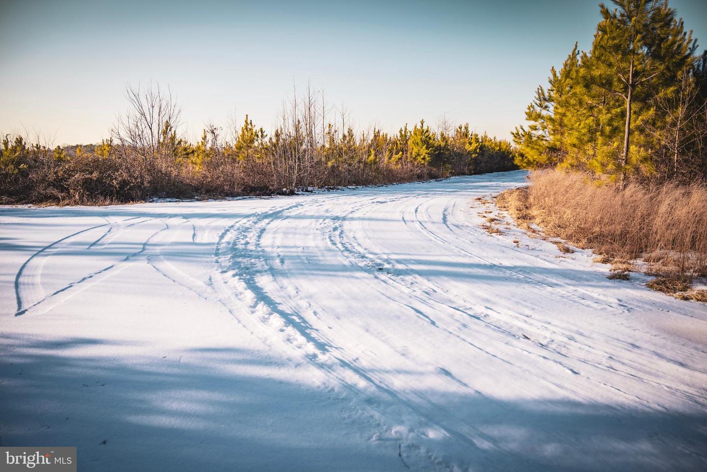 TBD SPARTA RD, MILFORD, Virginia 22514, ,Farm,For Sale,TBD SPARTA RD,VACV2009536 MLS # VACV2009536 TBD SPARTA RD, MILFORD, Virginia 22514, ,Farm,For Sale,TBD SPARTA RD,VACV2009536 MLS # VACV2009536