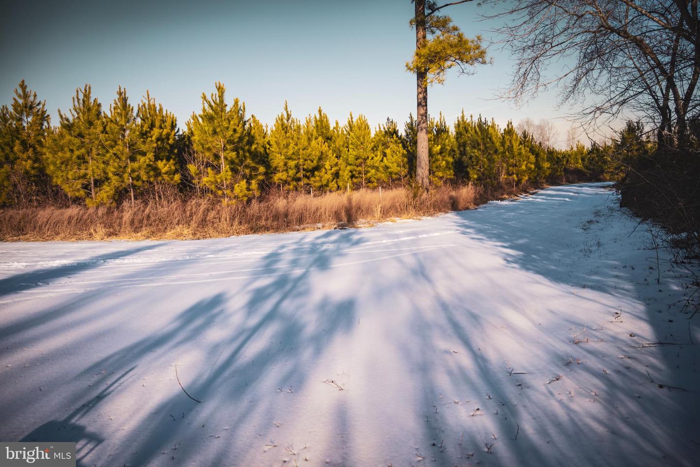 TBD SPARTA RD, MILFORD, Virginia 22514, ,Farm,For Sale,TBD SPARTA RD,VACV2009536 MLS # VACV2009536 TBD SPARTA RD, MILFORD, Virginia 22514, ,Farm,For Sale,TBD SPARTA RD,VACV2009536 MLS # VACV2009536