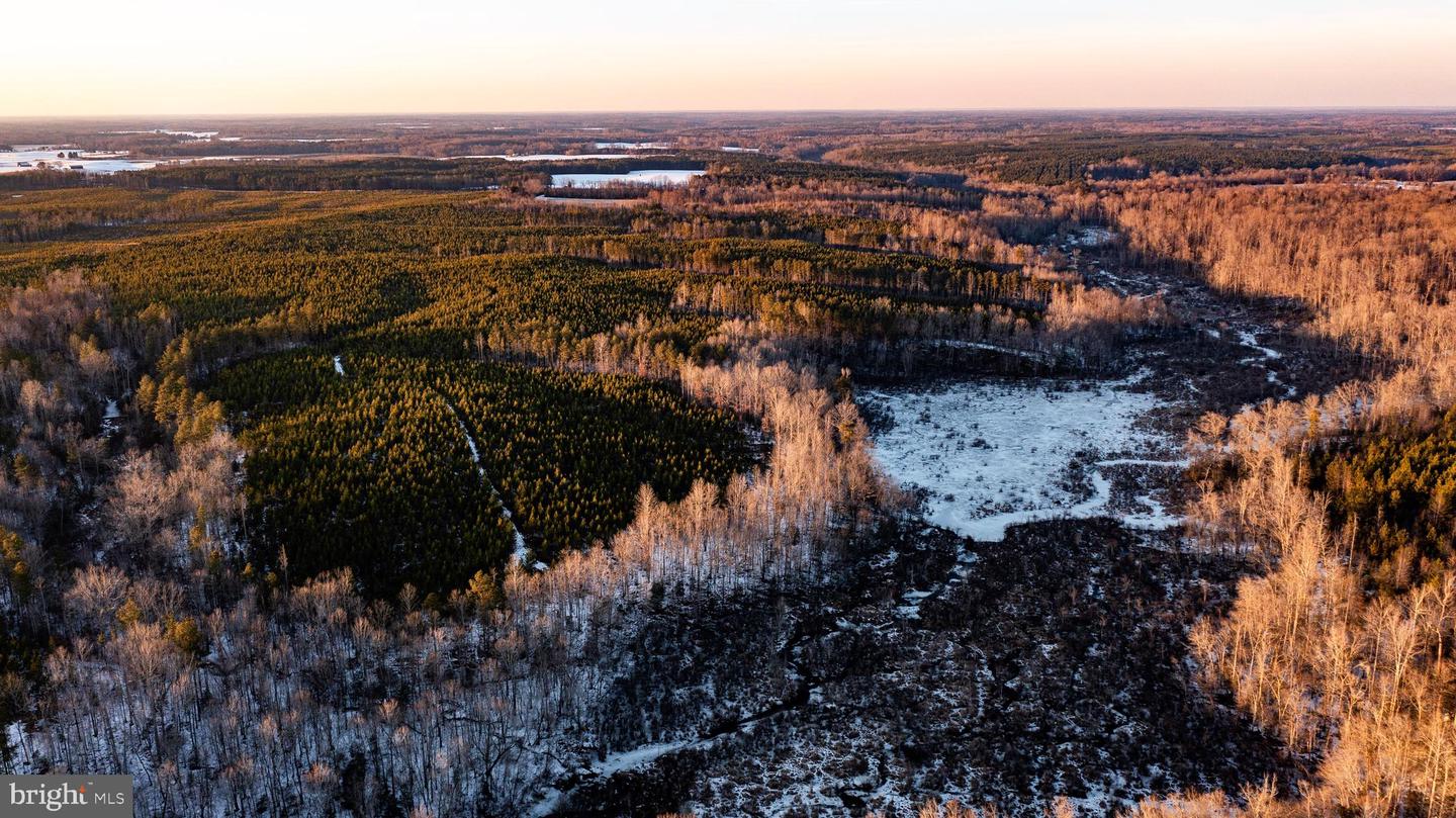 TBD SPARTA RD, MILFORD, Virginia 22514, ,Farm,For Sale,TBD SPARTA RD,VACV2009536 MLS # VACV2009536 TBD SPARTA RD, MILFORD, Virginia 22514, ,Farm,For Sale,TBD SPARTA RD,VACV2009536 MLS # VACV2009536