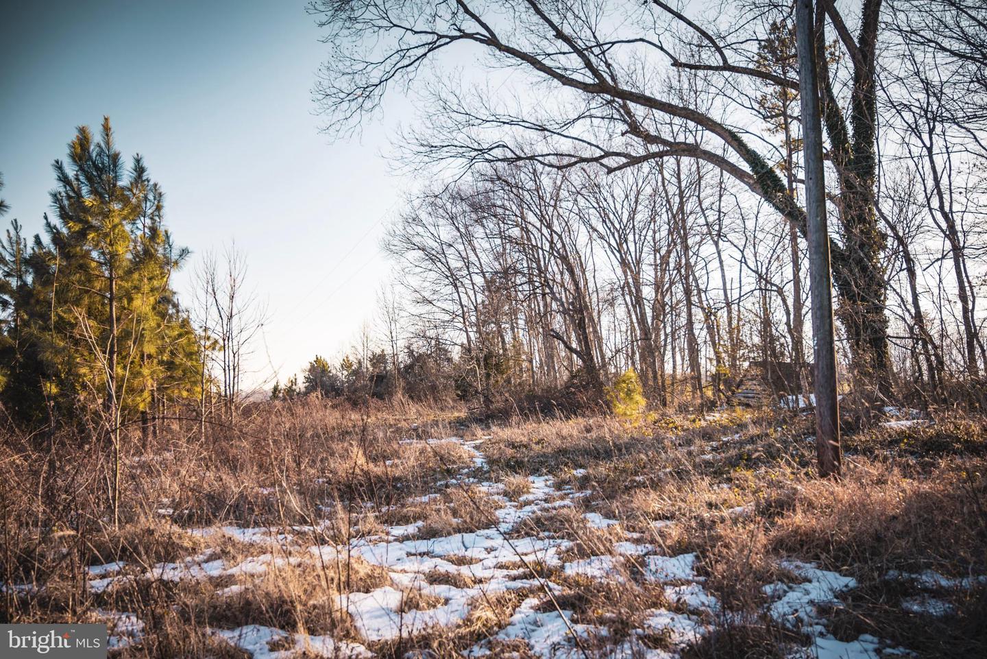 TBD SPARTA RD, MILFORD, Virginia 22514, ,Farm,For Sale,TBD SPARTA RD,VACV2009536 MLS # VACV2009536 TBD SPARTA RD, MILFORD, Virginia 22514, ,Farm,For Sale,TBD SPARTA RD,VACV2009536 MLS # VACV2009536