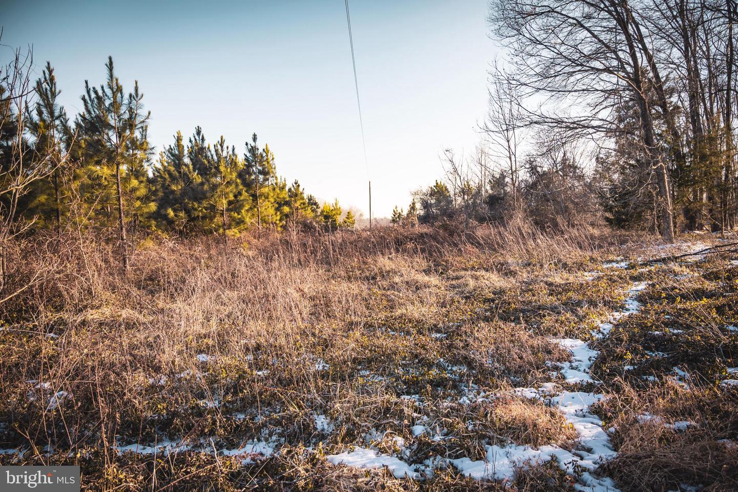 TBD SPARTA RD, MILFORD, Virginia 22514, ,Farm,For Sale,TBD SPARTA RD,VACV2009536 MLS # VACV2009536 TBD SPARTA RD, MILFORD, Virginia 22514, ,Farm,For Sale,TBD SPARTA RD,VACV2009536 MLS # VACV2009536