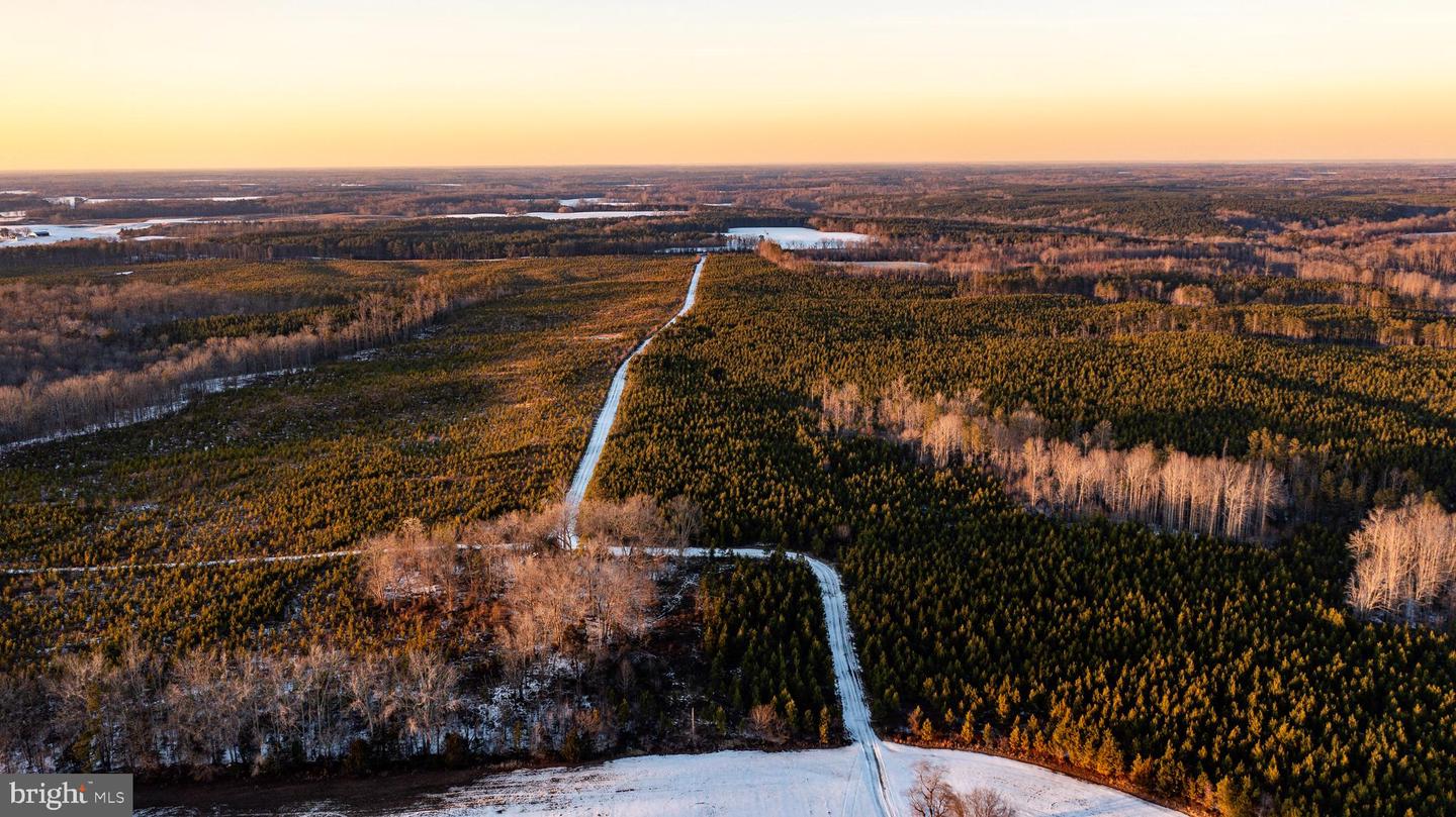 TBD SPARTA RD, MILFORD, Virginia 22514, ,Farm,For Sale,TBD SPARTA RD,VACV2009536 MLS # VACV2009536 TBD SPARTA RD, MILFORD, Virginia 22514, ,Farm,For Sale,TBD SPARTA RD,VACV2009536 MLS # VACV2009536