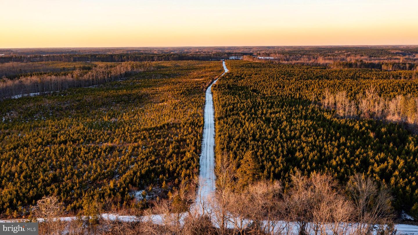 TBD SPARTA RD, MILFORD, Virginia 22514, ,Farm,For Sale,TBD SPARTA RD,VACV2009536 MLS # VACV2009536 TBD SPARTA RD, MILFORD, Virginia 22514, ,Farm,For Sale,TBD SPARTA RD,VACV2009536 MLS # VACV2009536