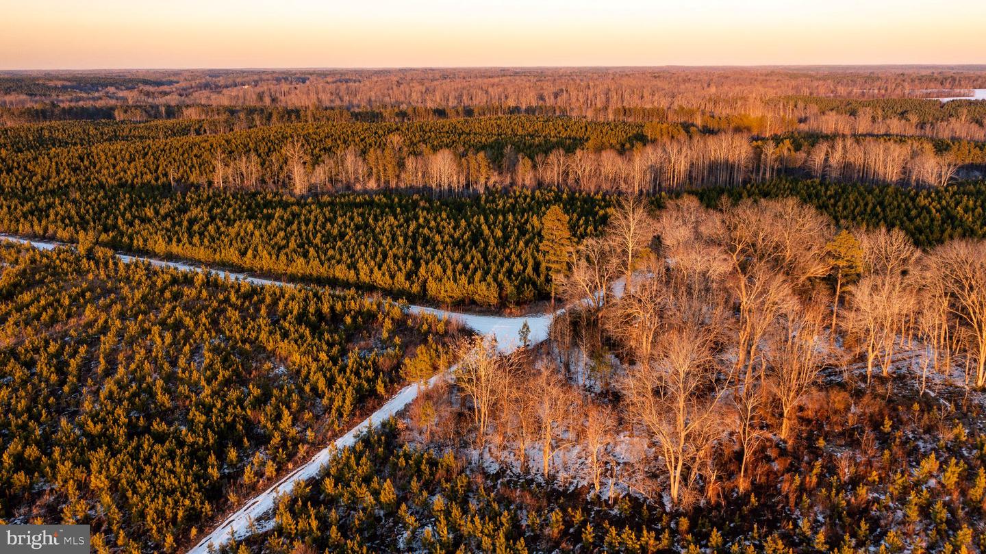 TBD SPARTA RD, MILFORD, Virginia 22514, ,Farm,For Sale,TBD SPARTA RD,VACV2009536 MLS # VACV2009536 TBD SPARTA RD, MILFORD, Virginia 22514, ,Farm,For Sale,TBD SPARTA RD,VACV2009536 MLS # VACV2009536