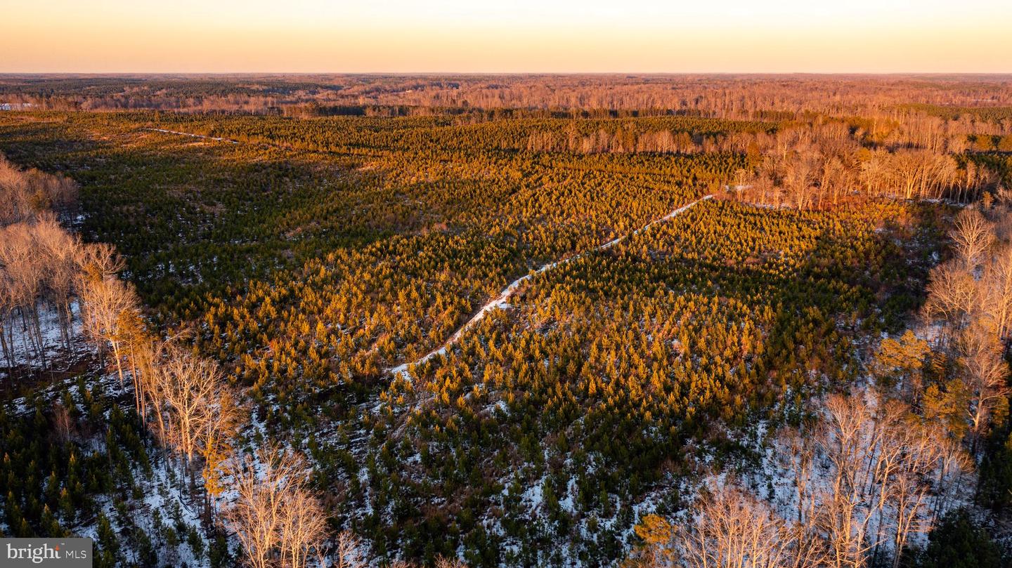 TBD SPARTA RD, MILFORD, Virginia 22514, ,Farm,For Sale,TBD SPARTA RD,VACV2009536 MLS # VACV2009536 TBD SPARTA RD, MILFORD, Virginia 22514, ,Farm,For Sale,TBD SPARTA RD,VACV2009536 MLS # VACV2009536