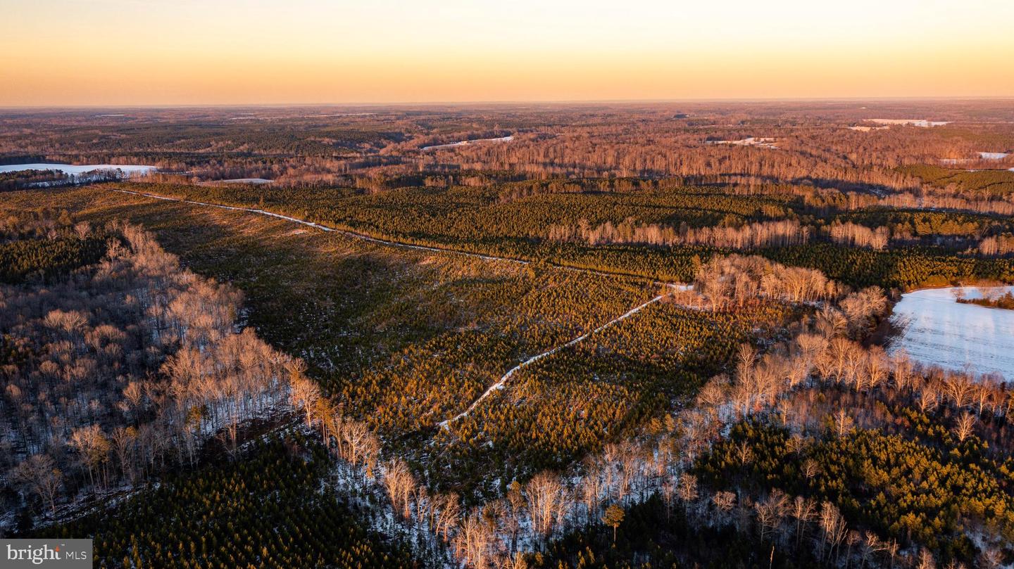TBD SPARTA RD, MILFORD, Virginia 22514, ,Farm,For Sale,TBD SPARTA RD,VACV2009536 MLS # VACV2009536 TBD SPARTA RD, MILFORD, Virginia 22514, ,Farm,For Sale,TBD SPARTA RD,VACV2009536 MLS # VACV2009536