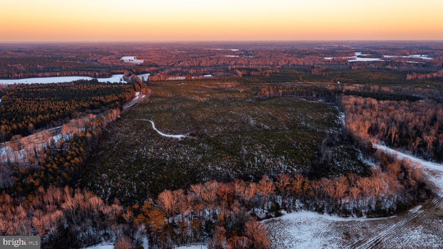 TBD SPARTA RD, MILFORD, Virginia 22514, ,Farm,For Sale,TBD SPARTA RD,VACV2009536 MLS # VACV2009536 TBD SPARTA RD, MILFORD, Virginia 22514, ,Farm,For Sale,TBD SPARTA RD,VACV2009536 MLS # VACV2009536