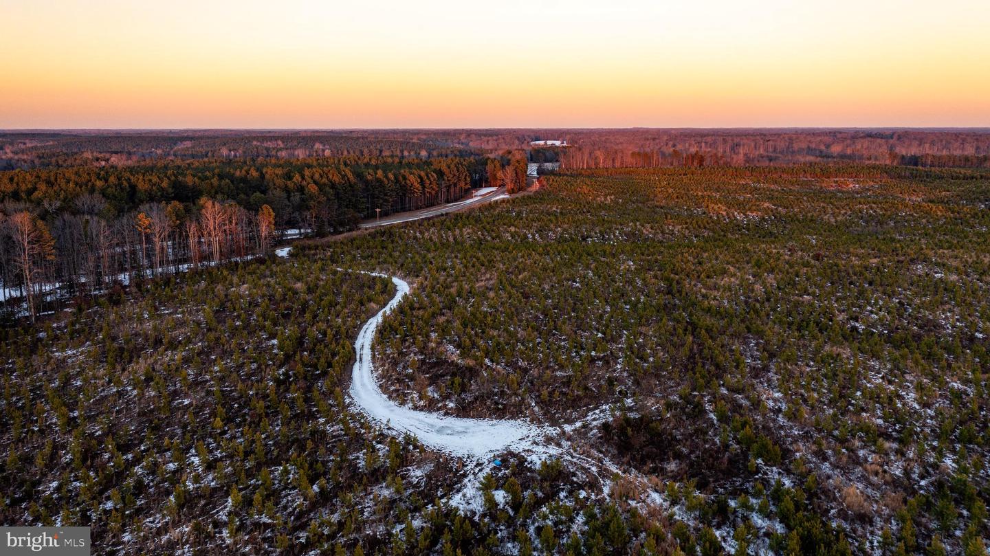 TBD SPARTA RD, MILFORD, Virginia 22514, ,Farm,For Sale,TBD SPARTA RD,VACV2009536 MLS # VACV2009536 TBD SPARTA RD, MILFORD, Virginia 22514, ,Farm,For Sale,TBD SPARTA RD,VACV2009536 MLS # VACV2009536