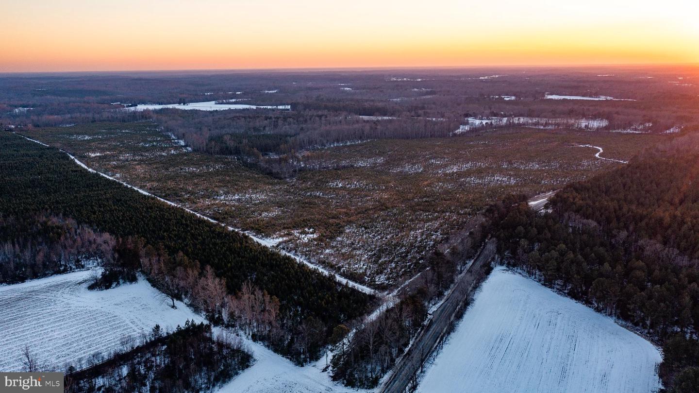 TBD SPARTA RD, MILFORD, Virginia 22514, ,Farm,For Sale,TBD SPARTA RD,VACV2009536 MLS # VACV2009536 TBD SPARTA RD, MILFORD, Virginia 22514, ,Farm,For Sale,TBD SPARTA RD,VACV2009536 MLS # VACV2009536