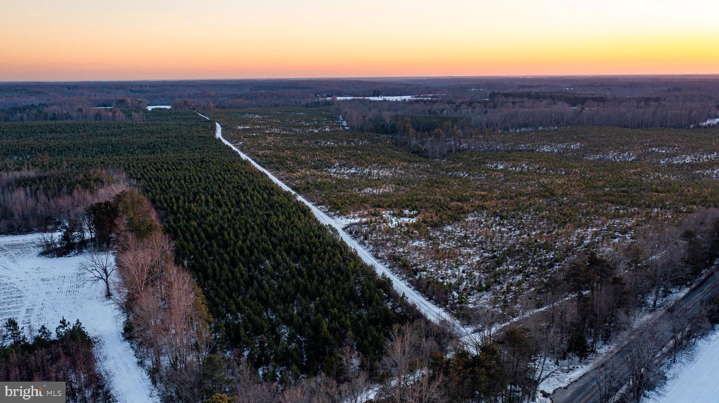 TBD SPARTA RD, MILFORD, Virginia 22514, ,Farm,For Sale,TBD SPARTA RD,VACV2009536 MLS # VACV2009536 TBD SPARTA RD, MILFORD, Virginia 22514, ,Farm,For Sale,TBD SPARTA RD,VACV2009536 MLS # VACV2009536