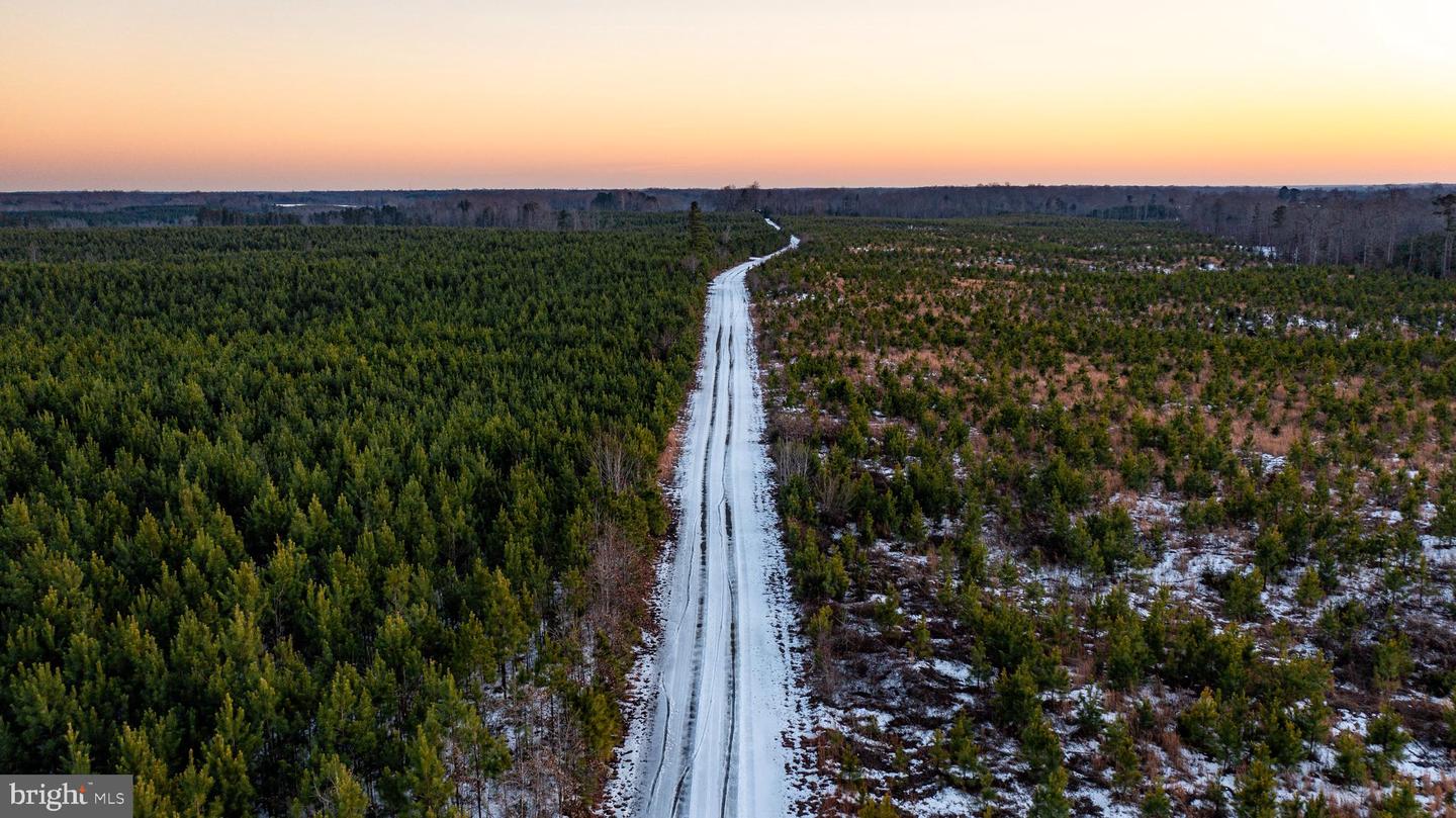 TBD SPARTA RD, MILFORD, Virginia 22514, ,Farm,For Sale,TBD SPARTA RD,VACV2009536 MLS # VACV2009536 TBD SPARTA RD, MILFORD, Virginia 22514, ,Farm,For Sale,TBD SPARTA RD,VACV2009536 MLS # VACV2009536
