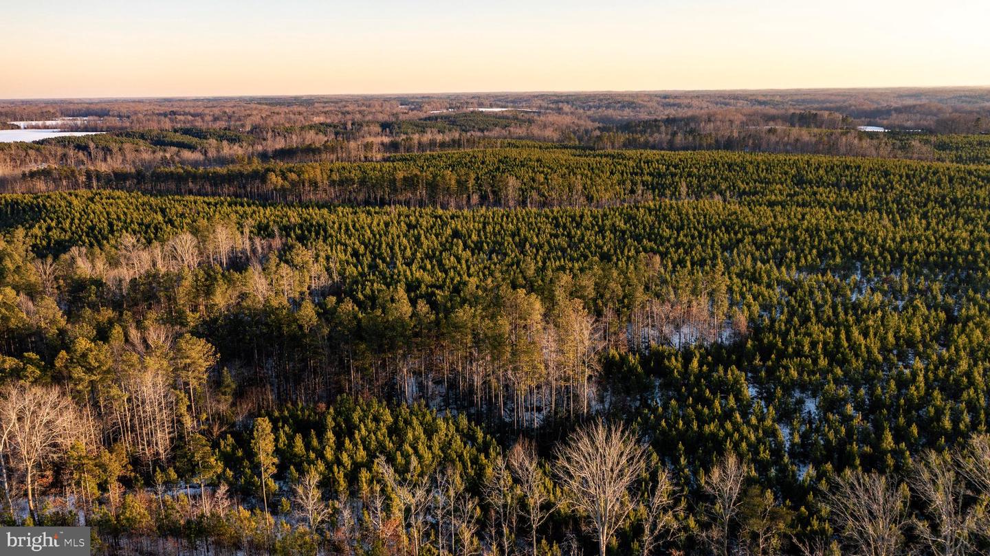 TBD SPARTA RD, MILFORD, Virginia 22514, ,Farm,For Sale,TBD SPARTA RD,VACV2009536 MLS # VACV2009536 TBD SPARTA RD, MILFORD, Virginia 22514, ,Farm,For Sale,TBD SPARTA RD,VACV2009536 MLS # VACV2009536