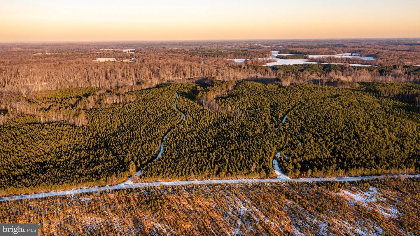 TBD SPARTA RD, MILFORD, Virginia 22514, ,Farm,For Sale,TBD SPARTA RD,VACV2009536 MLS # VACV2009536 TBD SPARTA RD, MILFORD, Virginia 22514, ,Farm,For Sale,TBD SPARTA RD,VACV2009536 MLS # VACV2009536