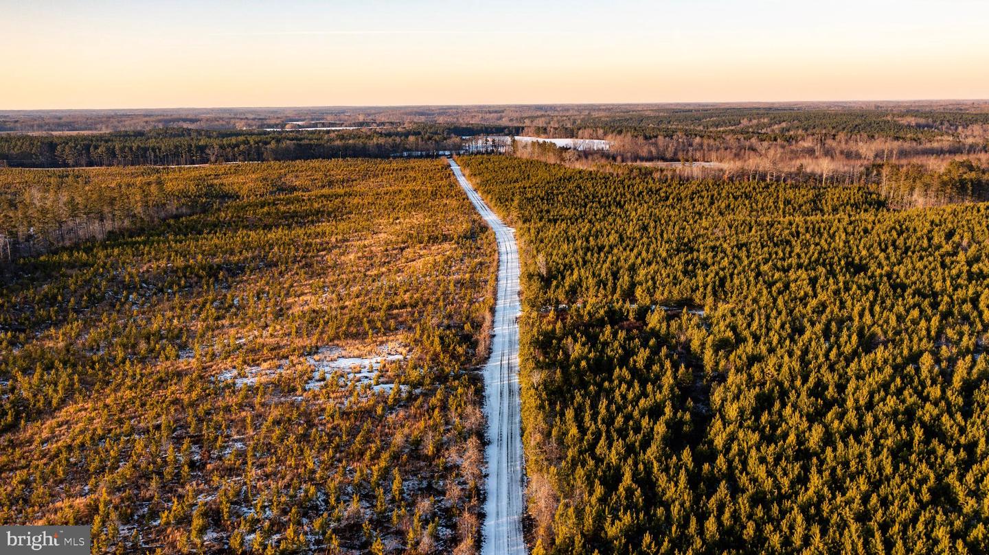 TBD SPARTA RD, MILFORD, Virginia 22514, ,Farm,For Sale,TBD SPARTA RD,VACV2009536 MLS # VACV2009536 TBD SPARTA RD, MILFORD, Virginia 22514, ,Farm,For Sale,TBD SPARTA RD,VACV2009536 MLS # VACV2009536