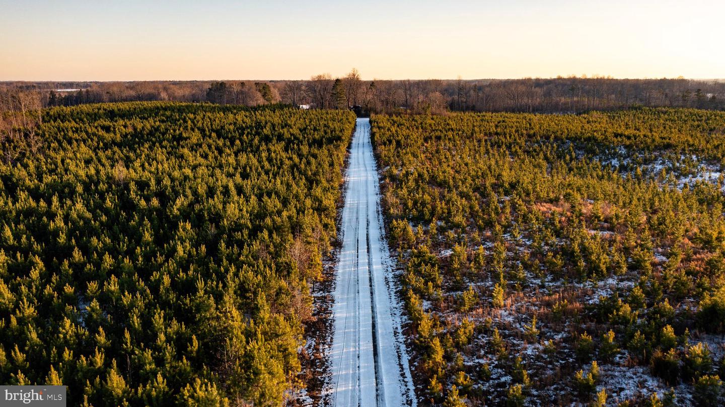 TBD SPARTA RD, MILFORD, Virginia 22514, ,Farm,For Sale,TBD SPARTA RD,VACV2009536 MLS # VACV2009536 TBD SPARTA RD, MILFORD, Virginia 22514, ,Farm,For Sale,TBD SPARTA RD,VACV2009536 MLS # VACV2009536