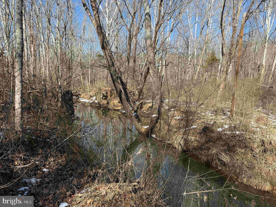 STATE HWY. 15 (TRACT: TONGUEQUARTER), DILLWYN, Virginia 23936, ,Farm,For Sale,STATE HWY. 15 (TRACT: TONGUEQUARTER),VABH2000272 MLS # VABH2000272 STATE HWY. 15 (TRACT: TONGUEQUARTER), DILLWYN, Virginia 23936, ,Farm,For Sale,STATE HWY. 15 (TRACT: TONGUEQUARTER),VABH2000272 MLS # VABH2000272