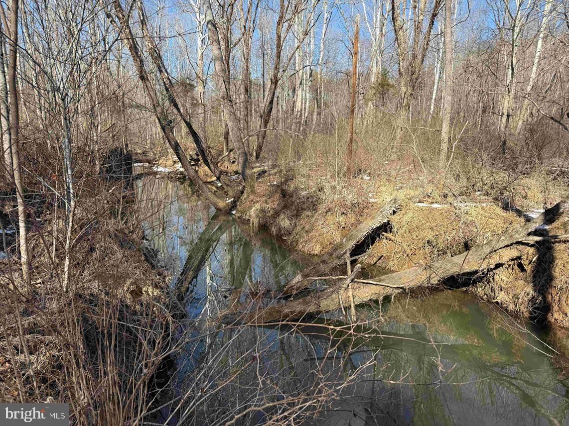 STATE HWY. 15 (TRACT: TONGUEQUARTER), DILLWYN, Virginia 23936, ,Farm,For Sale,STATE HWY. 15 (TRACT: TONGUEQUARTER),VABH2000272 MLS # VABH2000272 STATE HWY. 15 (TRACT: TONGUEQUARTER), DILLWYN, Virginia 23936, ,Farm,For Sale,STATE HWY. 15 (TRACT: TONGUEQUARTER),VABH2000272 MLS # VABH2000272