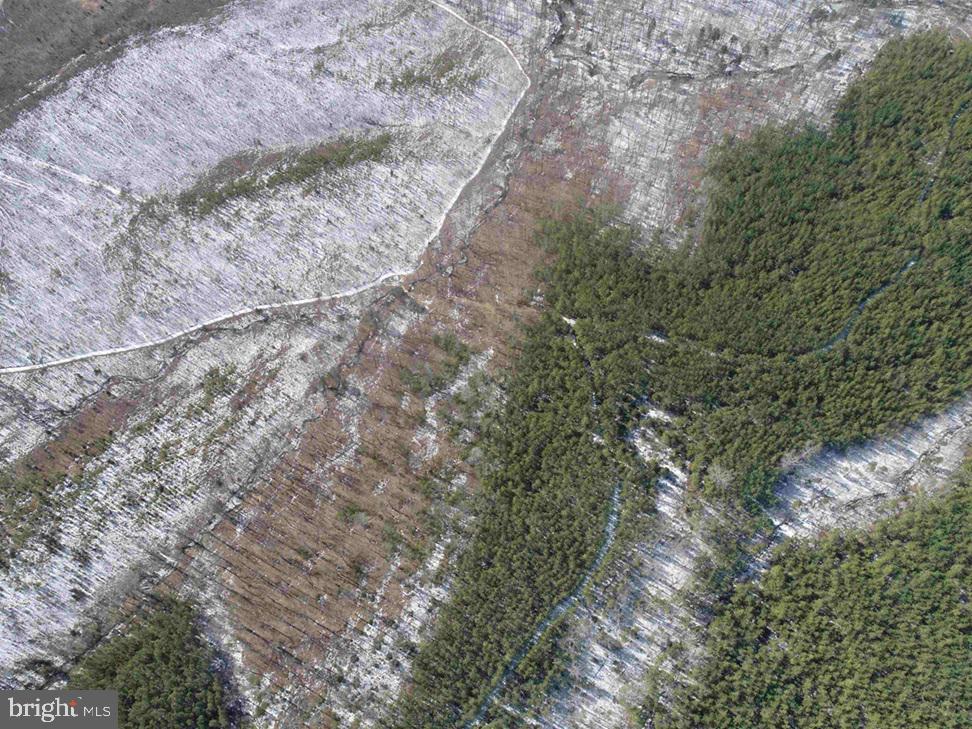 STATE HWY. 15 (TRACT: TONGUEQUARTER), DILLWYN, Virginia 23936, ,Farm,For Sale,STATE HWY. 15 (TRACT: TONGUEQUARTER),VABH2000272 MLS # VABH2000272 STATE HWY. 15 (TRACT: TONGUEQUARTER), DILLWYN, Virginia 23936, ,Farm,For Sale,STATE HWY. 15 (TRACT: TONGUEQUARTER),VABH2000272 MLS # VABH2000272