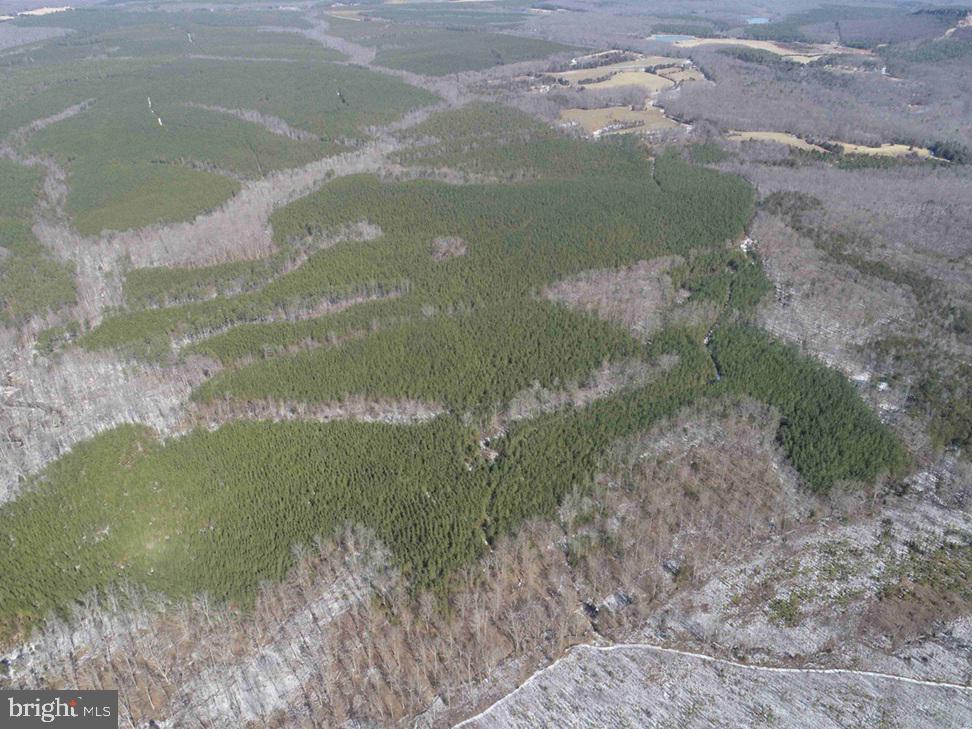 STATE HWY. 15 (TRACT: TONGUEQUARTER), DILLWYN, Virginia 23936, ,Farm,For Sale,STATE HWY. 15 (TRACT: TONGUEQUARTER),VABH2000272 MLS # VABH2000272 STATE HWY. 15 (TRACT: TONGUEQUARTER), DILLWYN, Virginia 23936, ,Farm,For Sale,STATE HWY. 15 (TRACT: TONGUEQUARTER),VABH2000272 MLS # VABH2000272