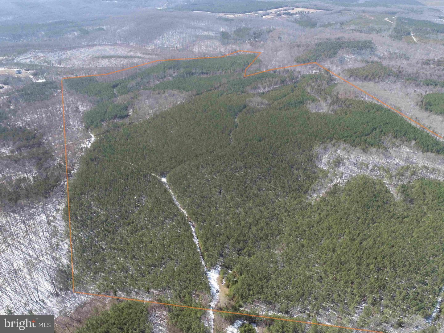 STATE HWY. 15 (TRACT: TONGUEQUARTER), DILLWYN, Virginia 23936, ,Farm,For Sale,STATE HWY. 15 (TRACT: TONGUEQUARTER),VABH2000272 MLS # VABH2000272 STATE HWY. 15 (TRACT: TONGUEQUARTER), DILLWYN, Virginia 23936, ,Farm,For Sale,STATE HWY. 15 (TRACT: TONGUEQUARTER),VABH2000272 MLS # VABH2000272