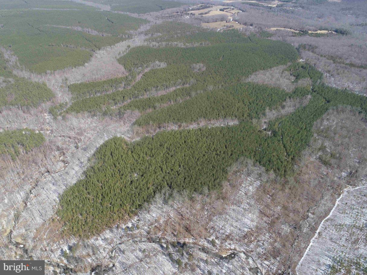 STATE HWY. 15 (TRACT: TONGUEQUARTER), DILLWYN, Virginia 23936, ,Farm,For Sale,STATE HWY. 15 (TRACT: TONGUEQUARTER),VABH2000272 MLS # VABH2000272 STATE HWY. 15 (TRACT: TONGUEQUARTER), DILLWYN, Virginia 23936, ,Farm,For Sale,STATE HWY. 15 (TRACT: TONGUEQUARTER),VABH2000272 MLS # VABH2000272