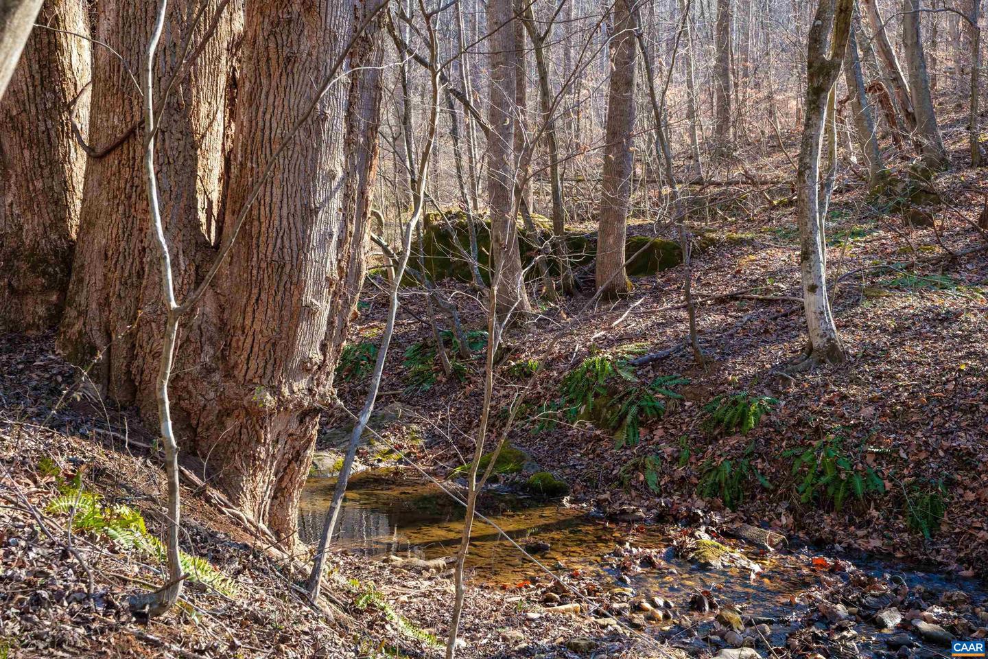 PERKINS HOLLOW LN, FABER, Virginia 22938, ,Land,For Sale,PERKINS HOLLOW LN,673311 MLS # 673311