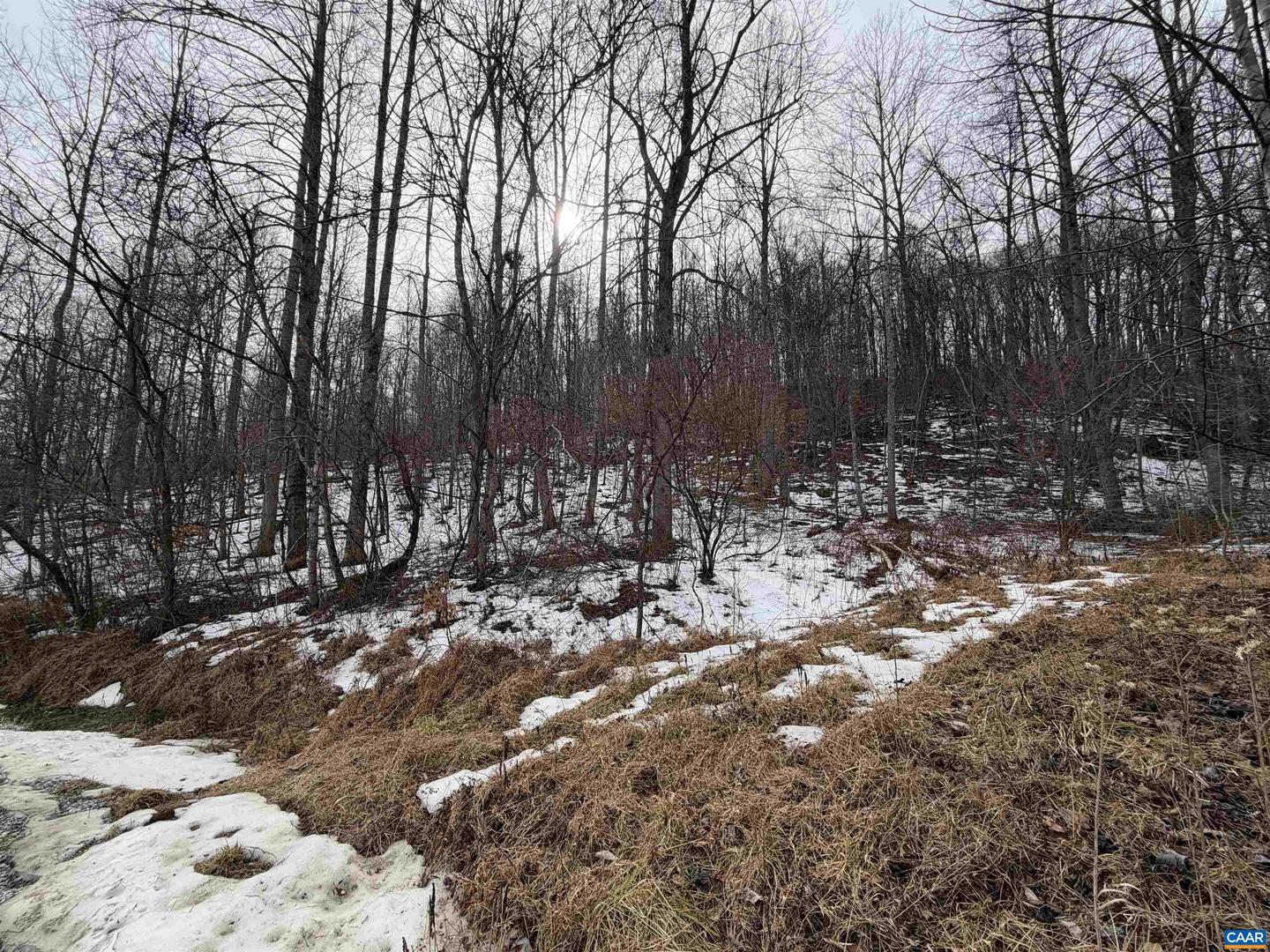 PERKINS HOLLOW LN, FABER, Virginia 22938, ,Land,For Sale,PERKINS HOLLOW LN,673311 MLS # 673311