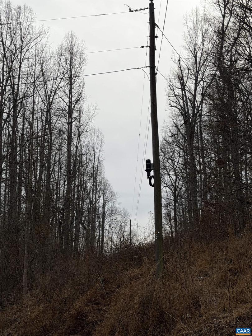 PERKINS HOLLOW LN, FABER, Virginia 22938, ,Land,For Sale,PERKINS HOLLOW LN,673311 MLS # 673311