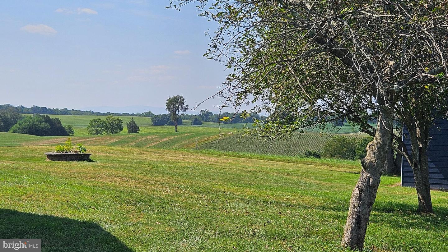 9534 SPRING HILL, RIXEYVILLE, Virginia 22737, 3 Bedrooms Bedrooms, 13 Rooms Rooms,1 BathroomBathrooms,Farm,For Sale,9534 SPRING HILL,VACU2012680 MLS # VACU2012680 9534 SPRING HILL, RIXEYVILLE, Virginia 22737, 3 Bedrooms Bedrooms, 13 Rooms Rooms,1 BathroomBathrooms,Farm,For Sale,9534 SPRING HILL,VACU2012680 MLS # VACU2012680