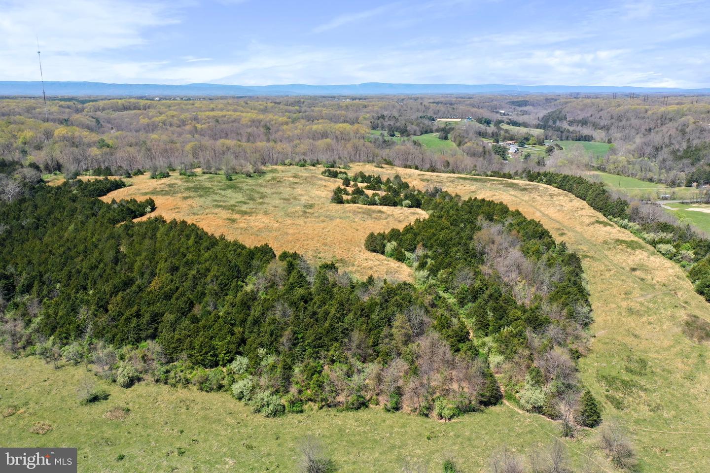 WINCHESTER RD, FRONT ROYAL, Virginia 22630, ,Farm,For Sale,WINCHESTER RD,VAWR2010170 MLS # VAWR2010170