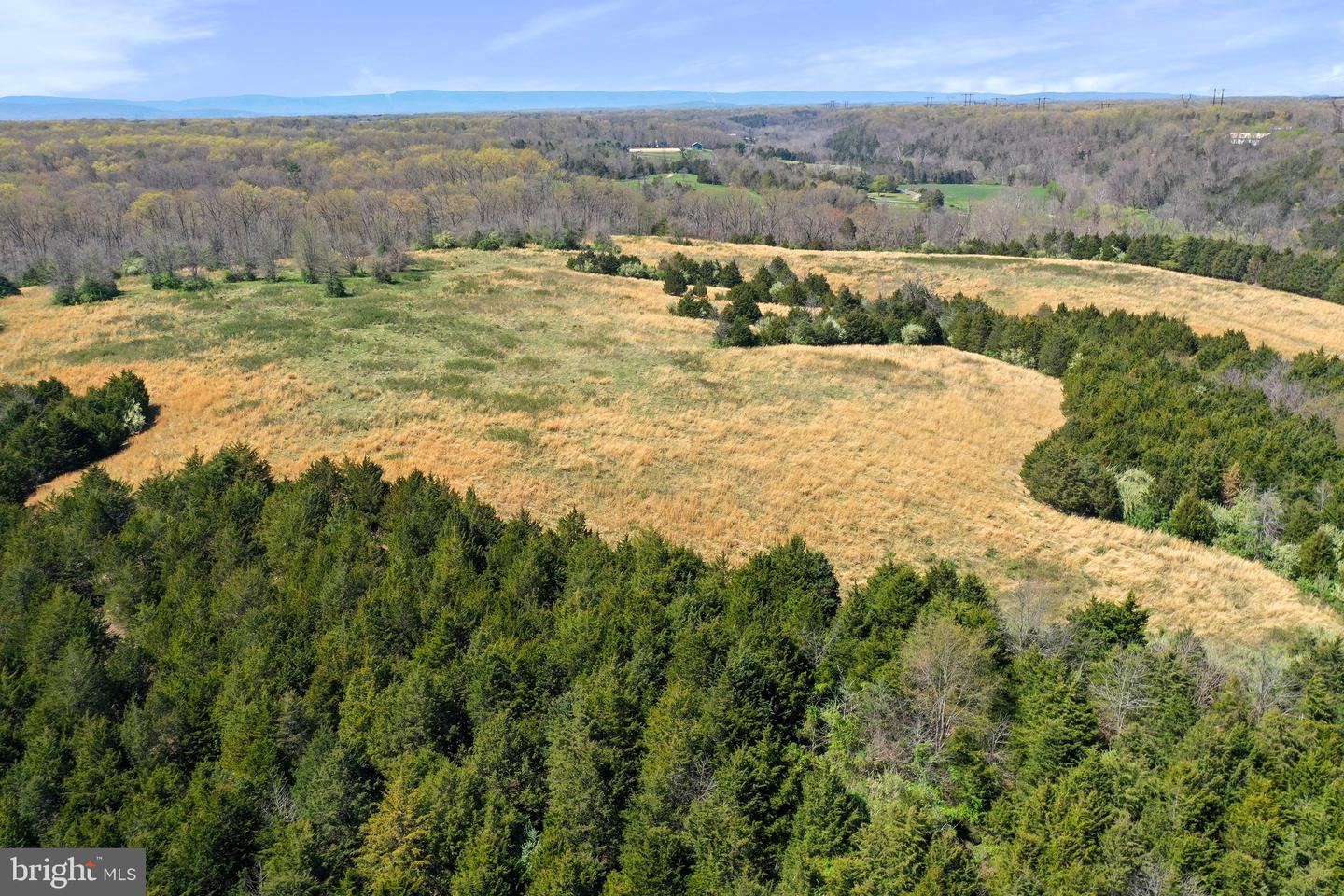 WINCHESTER RD, FRONT ROYAL, Virginia 22630, ,Farm,For Sale,WINCHESTER RD,VAWR2010170 MLS # VAWR2010170