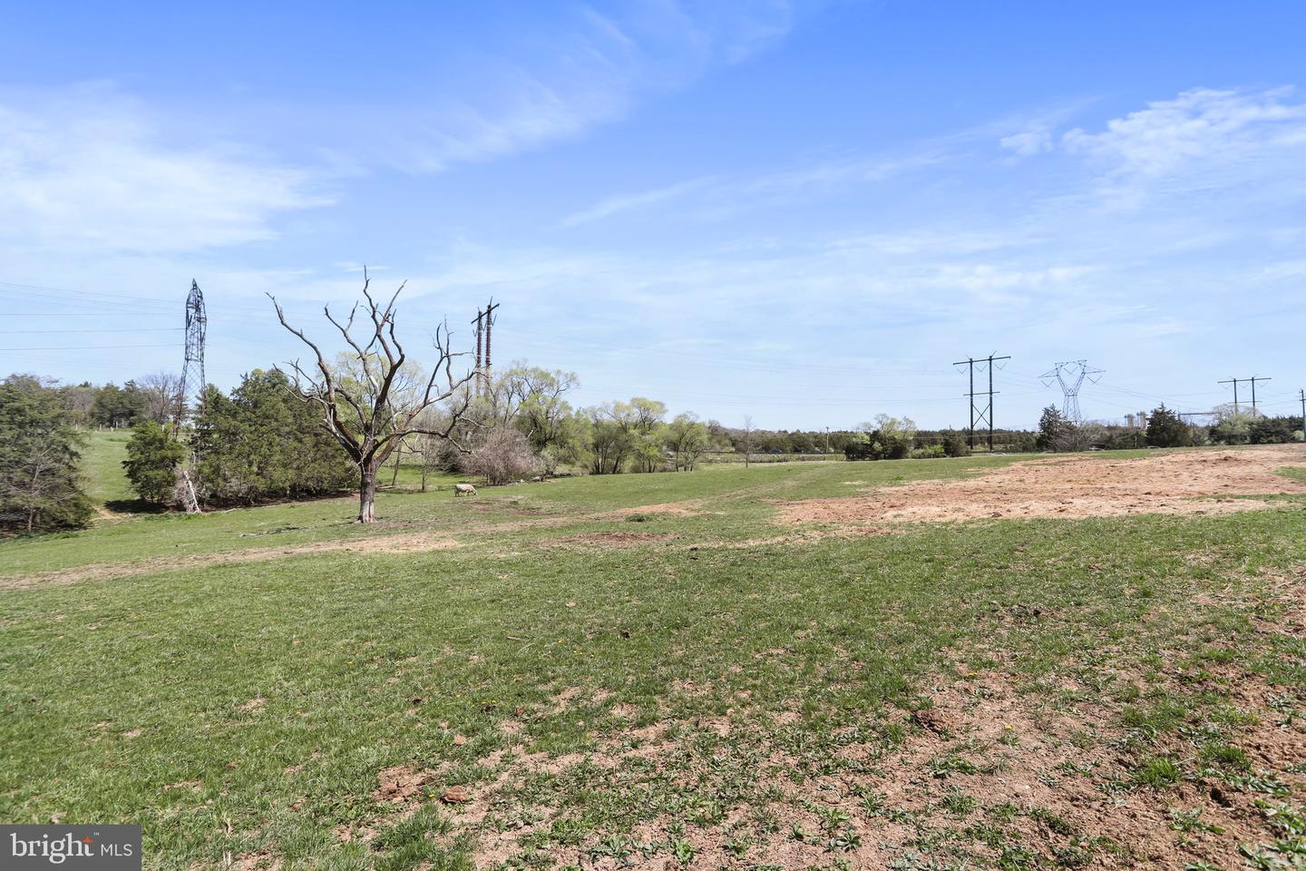 WINCHESTER RD, FRONT ROYAL, Virginia 22630, ,Farm,For Sale,WINCHESTER RD,VAWR2010170 MLS # VAWR2010170