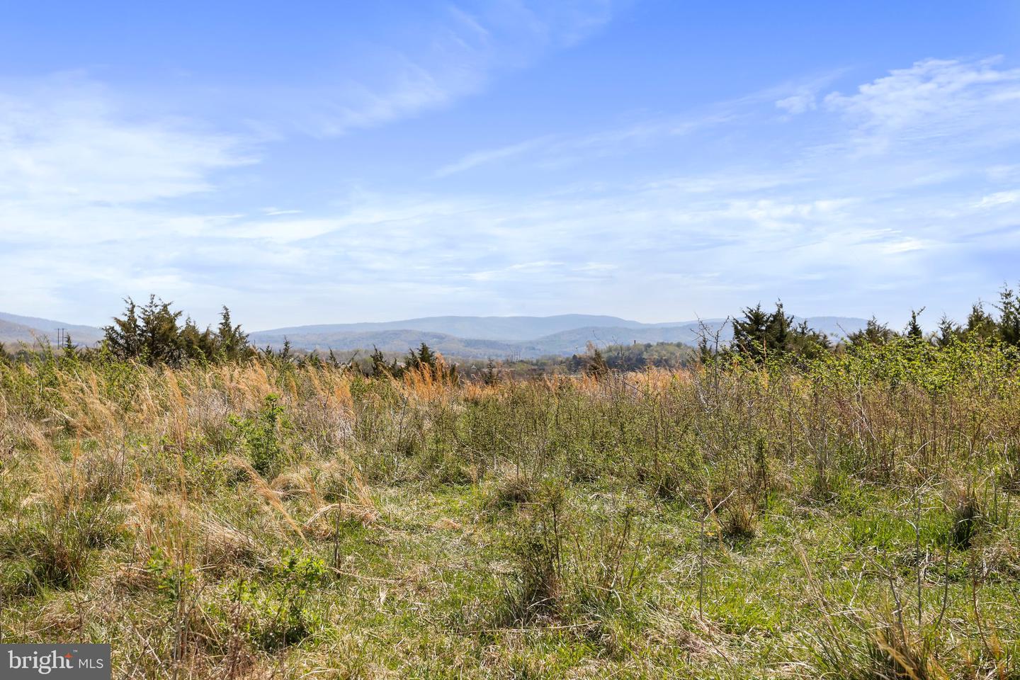 WINCHESTER RD, FRONT ROYAL, Virginia 22630, ,Farm,For Sale,WINCHESTER RD,VAWR2010170 MLS # VAWR2010170