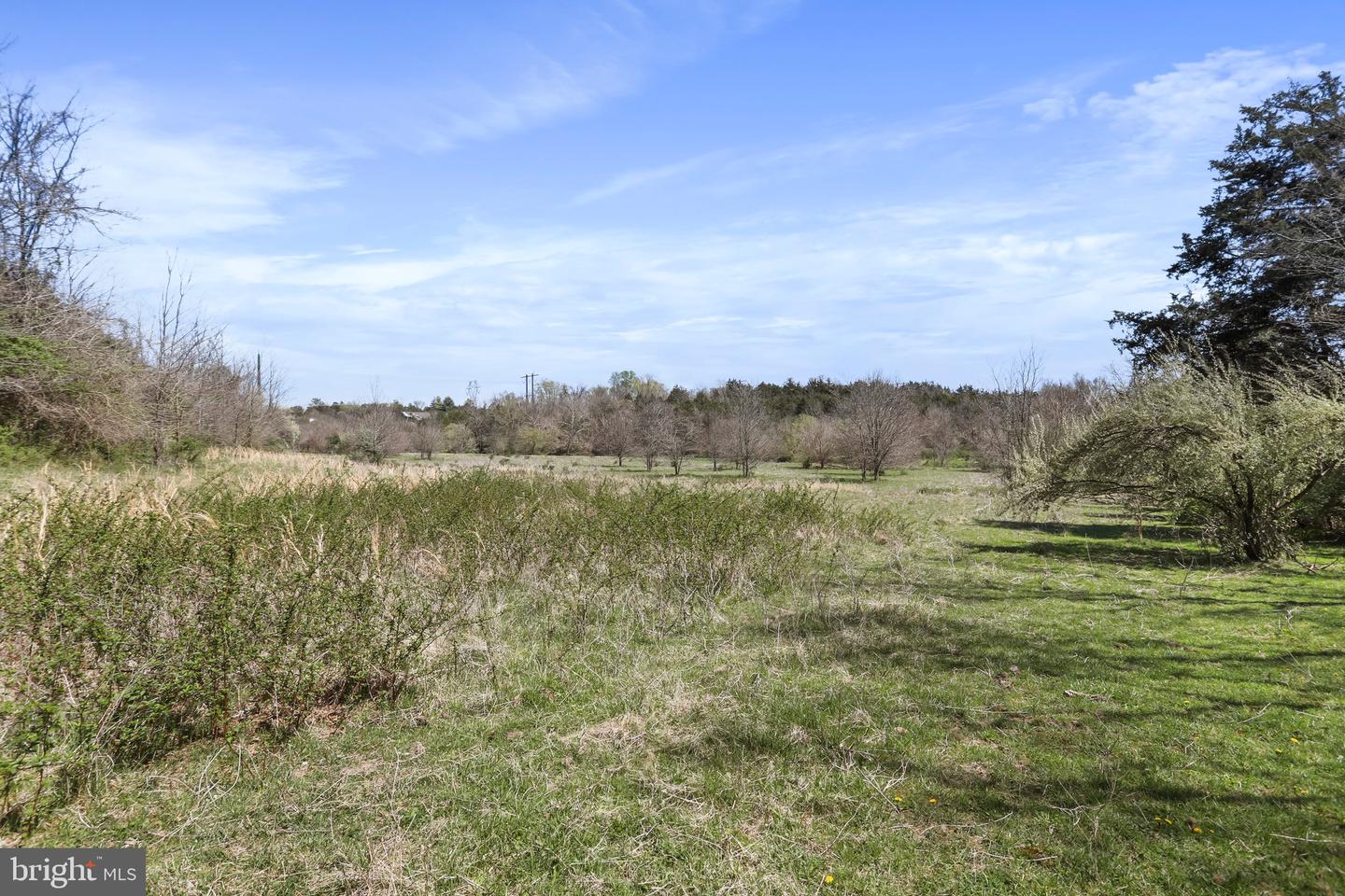 WINCHESTER RD, FRONT ROYAL, Virginia 22630, ,Farm,For Sale,WINCHESTER RD,VAWR2010170 MLS # VAWR2010170