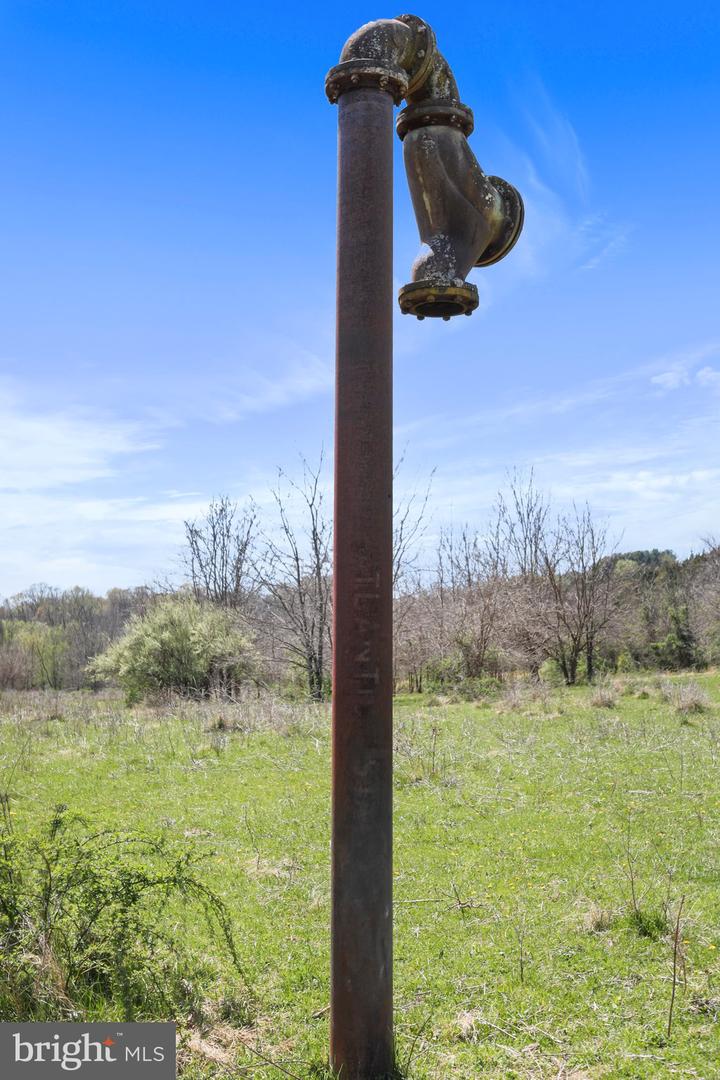 WINCHESTER RD, FRONT ROYAL, Virginia 22630, ,Farm,For Sale,WINCHESTER RD,VAWR2010170 MLS # VAWR2010170