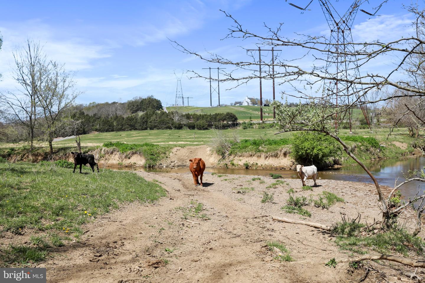 WINCHESTER RD, FRONT ROYAL, Virginia 22630, ,Farm,For Sale,WINCHESTER RD,VAWR2010170 MLS # VAWR2010170