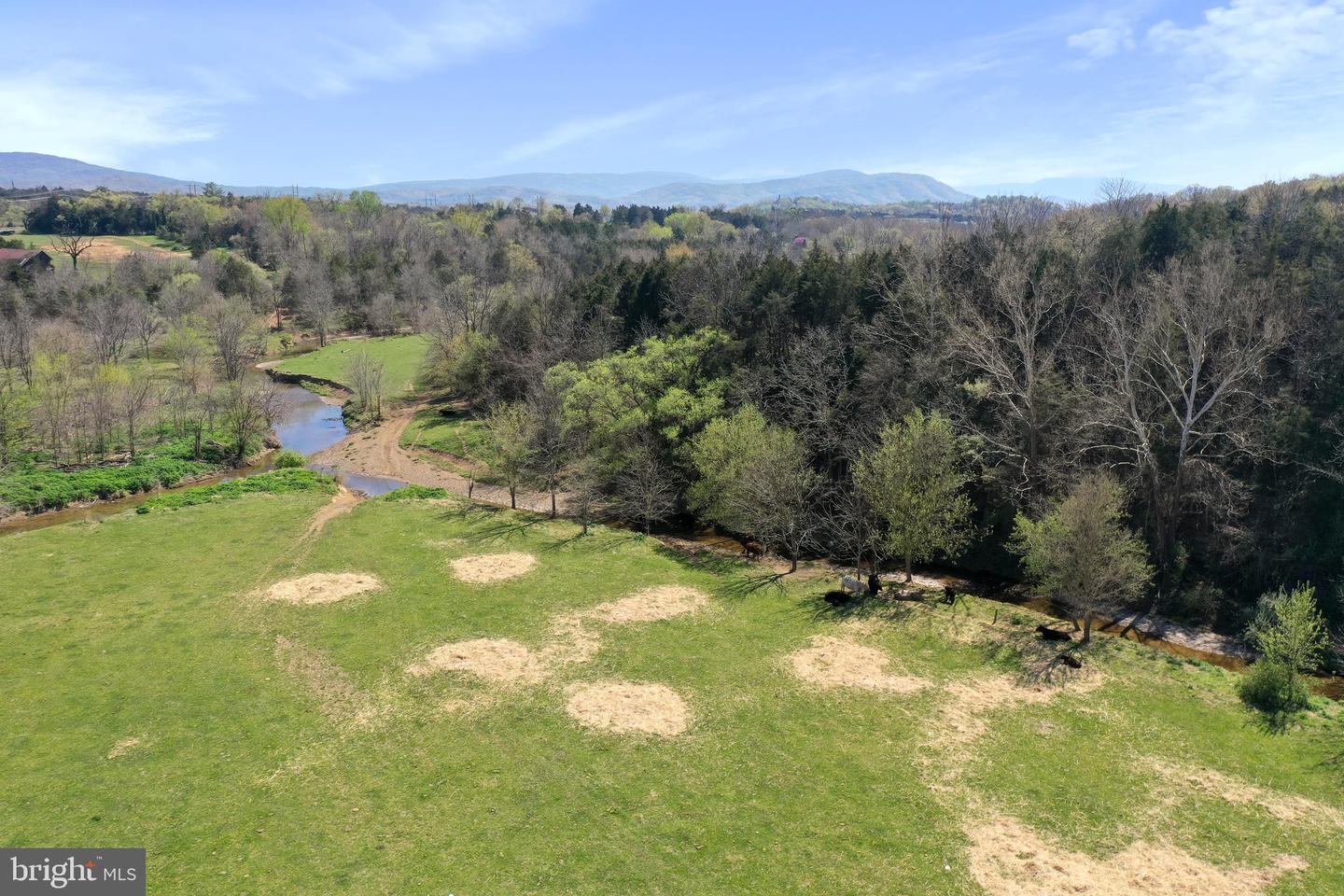 WINCHESTER RD, FRONT ROYAL, Virginia 22630, ,Farm,For Sale,WINCHESTER RD,VAWR2010162 MLS # VAWR2010162