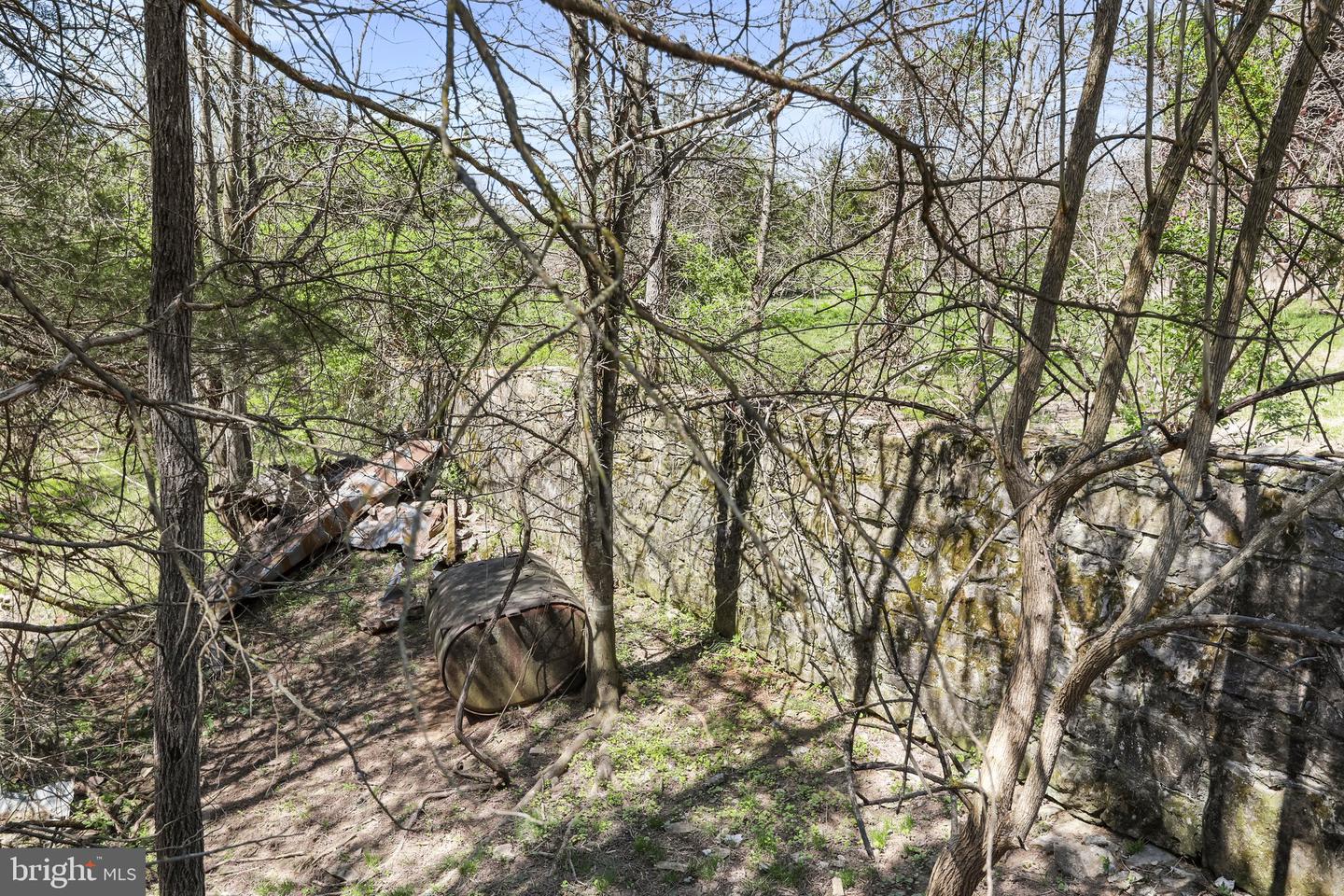 WINCHESTER RD, FRONT ROYAL, Virginia 22630, ,Farm,For Sale,WINCHESTER RD,VAWR2010162 MLS # VAWR2010162