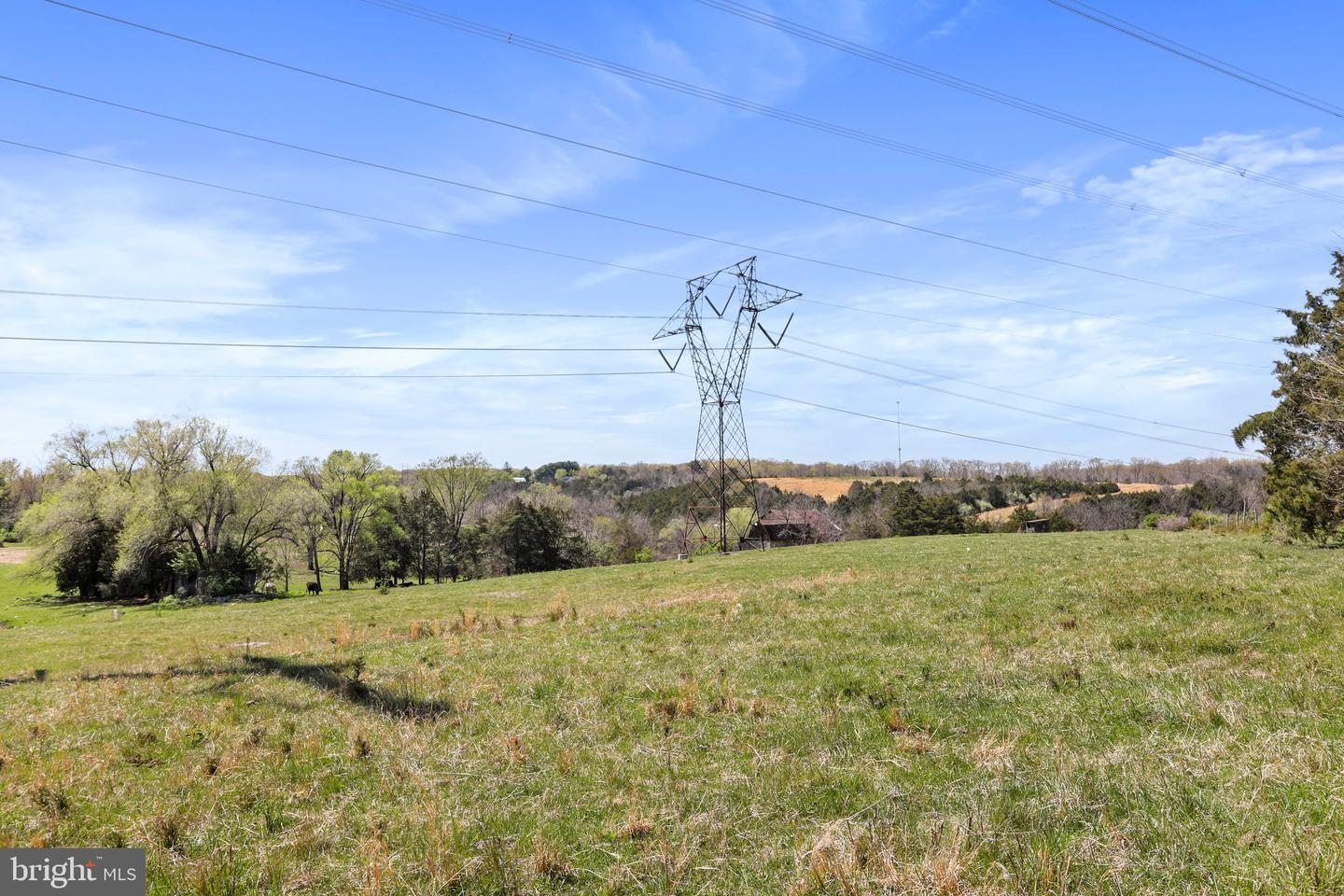 WINCHESTER RD, FRONT ROYAL, Virginia 22630, ,Farm,For Sale,WINCHESTER RD,VAWR2010162 MLS # VAWR2010162