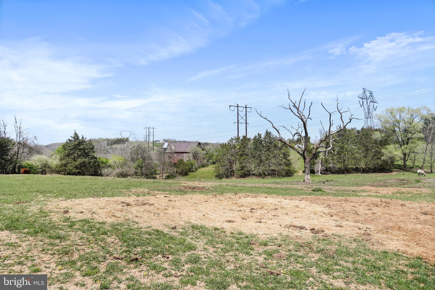 WINCHESTER RD, FRONT ROYAL, Virginia 22630, ,Farm,For Sale,WINCHESTER RD,VAWR2010162 MLS # VAWR2010162