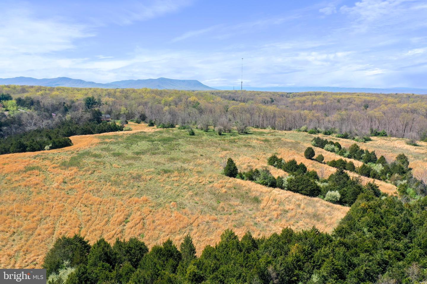 WINCHESTER RD, FRONT ROYAL, Virginia 22630, ,Farm,For Sale,WINCHESTER RD,VAWR2010162 MLS # VAWR2010162